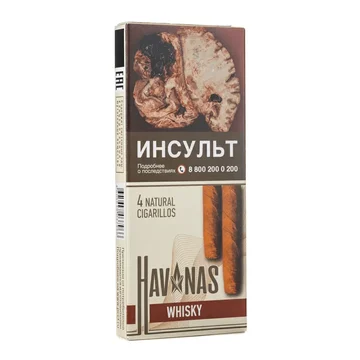 изображение_2024-10-24_033021816