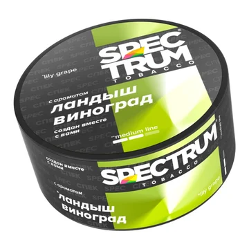 изображение_2025-12-15_140458958