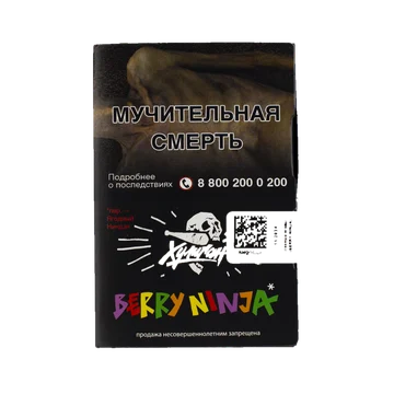 изображение_2024-12-21_010402240