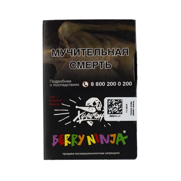 изображение_2024-12-21_010402240