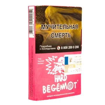 изображение_2024-01-09_184426795