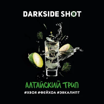DARKSIDE SHOT - АЛТАЙСКИЙ ТРИП