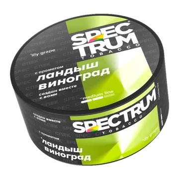 изображение_2025-12-15_140458958