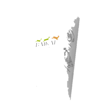 4f155ac2e3c8117c7f49e4f1