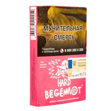 изображение_2024-01-09_184426795