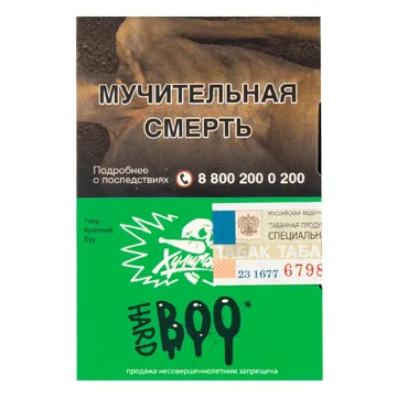 изображение_2024-01-30_152135726
