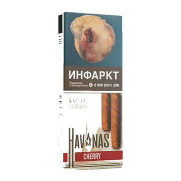 изображение_2024-10-04_163508442