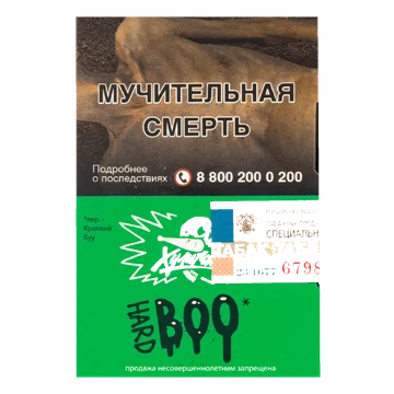 изображение_2024-01-30_152135726