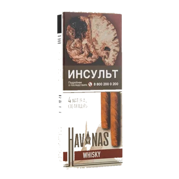 изображение_2024-10-24_033021816