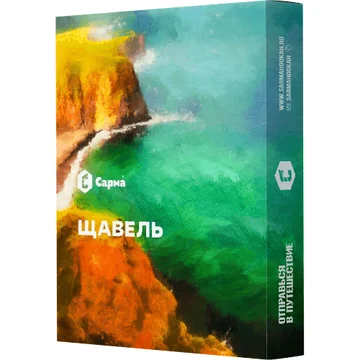 изображение_2023-07-24_022652901
