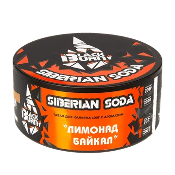 изображение_2024-01-30_140838582