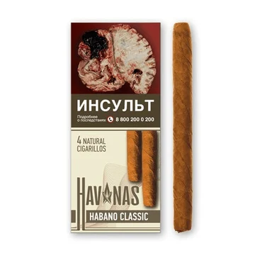 изображение_2024-10-04_163727279