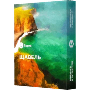 изображение_2023-07-24_022652901