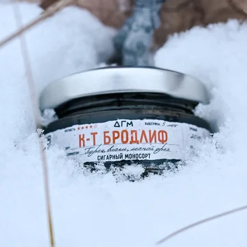 изображение_2024-12-23_200910874