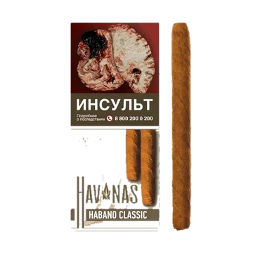изображение_2024-10-04_163727279