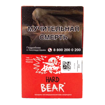 изображение_2025-03-25_172739419