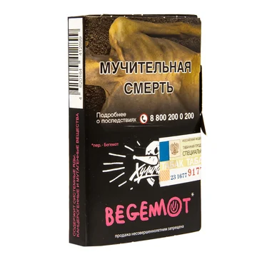 изображение_2024-01-09_183254549