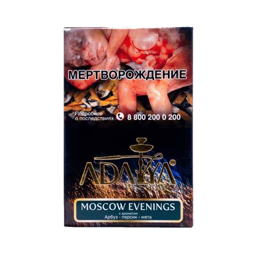 изображение_2024-11-05_172027009
