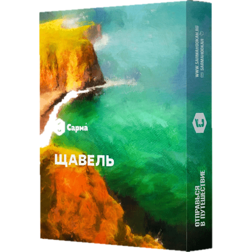 изображение_2023-07-24_022652901