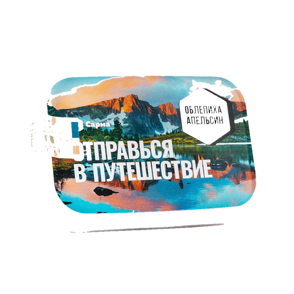 изображение_2023-08-19_173918964
