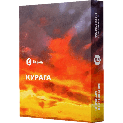 изображение_2023-12-10_175427640