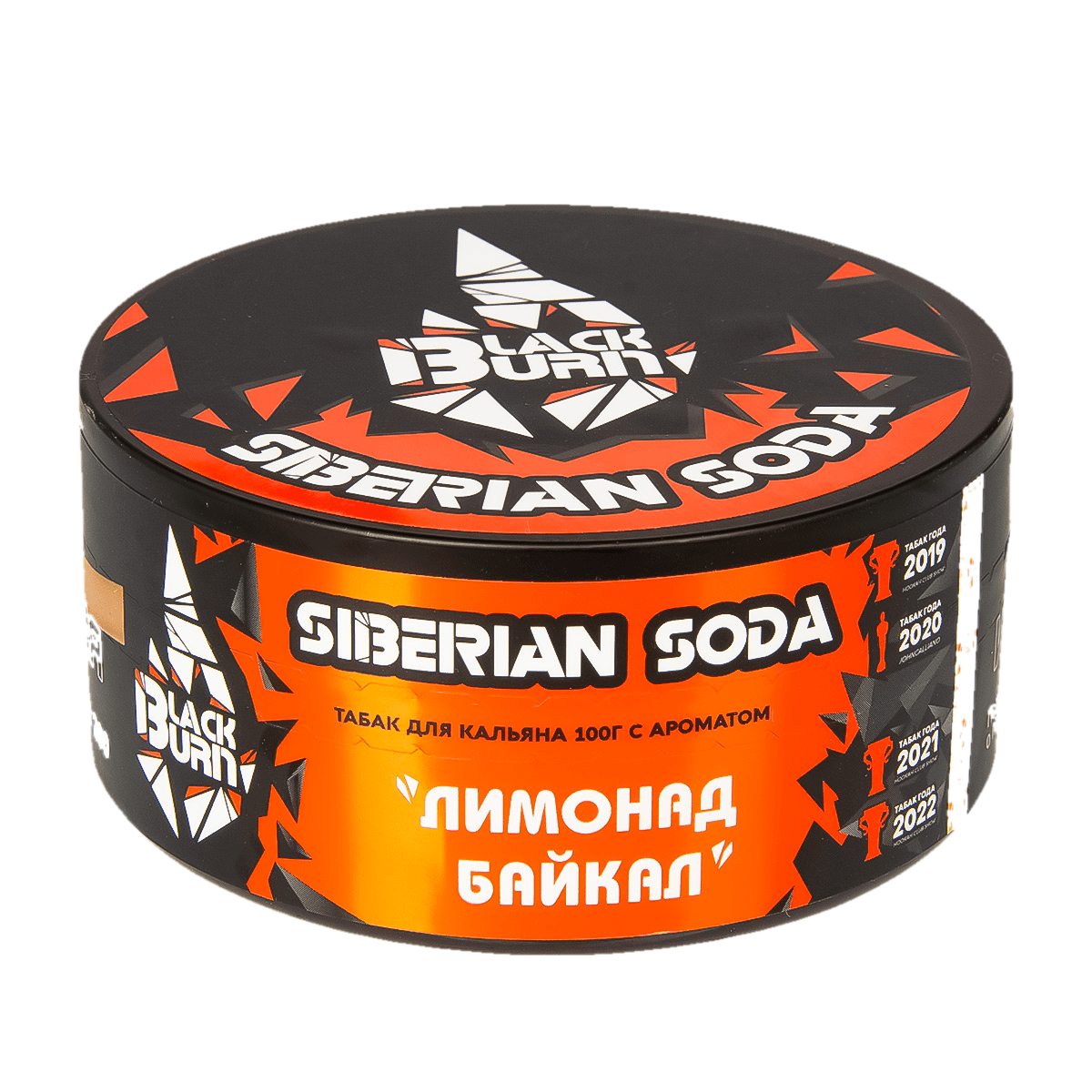 изображение_2024-01-30_140838582