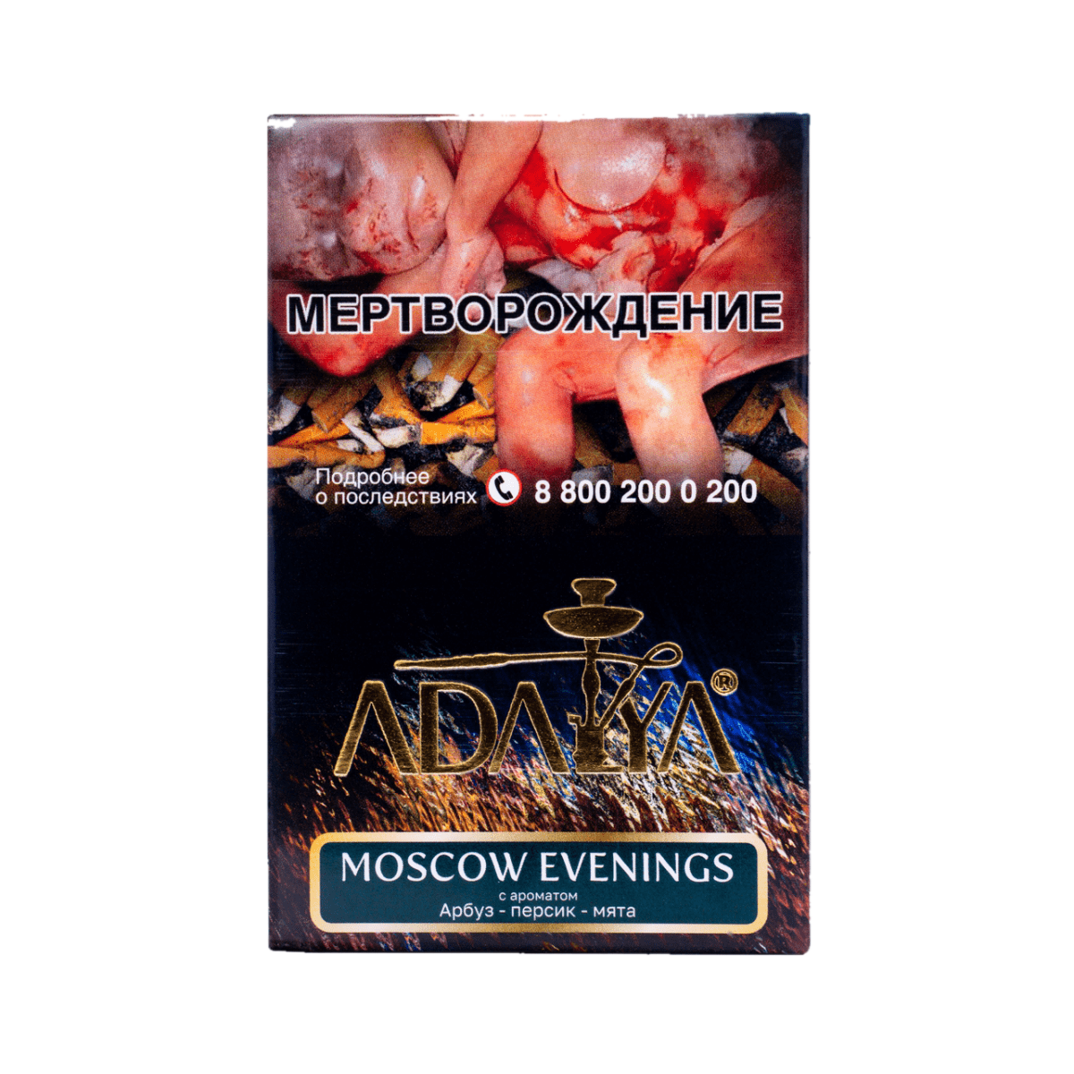 изображение_2024-11-05_172027009