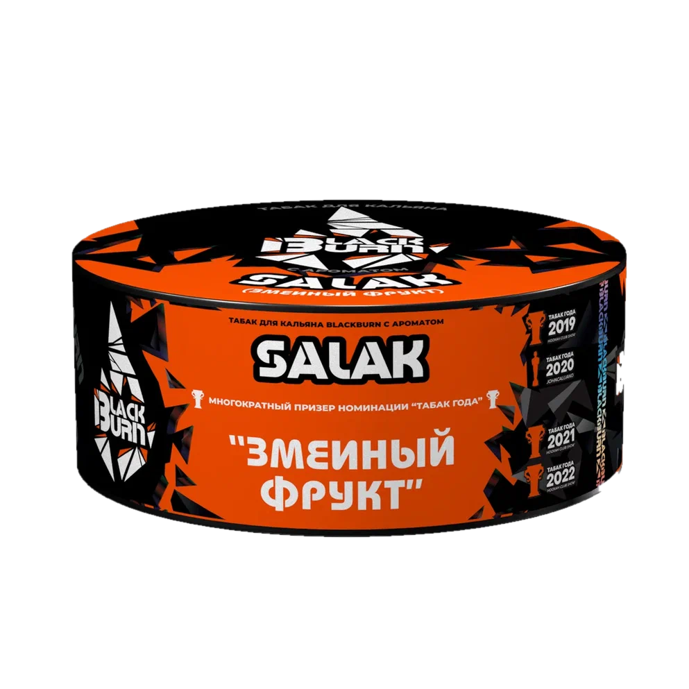 изображение_2025-01-21_164132711