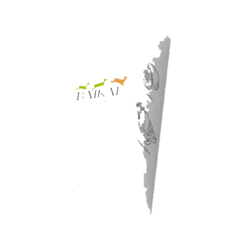 4f155ac2e3c8117c7f49e4f1