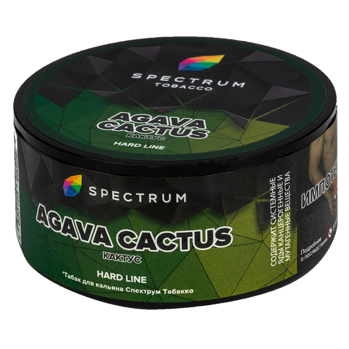 agava cactus