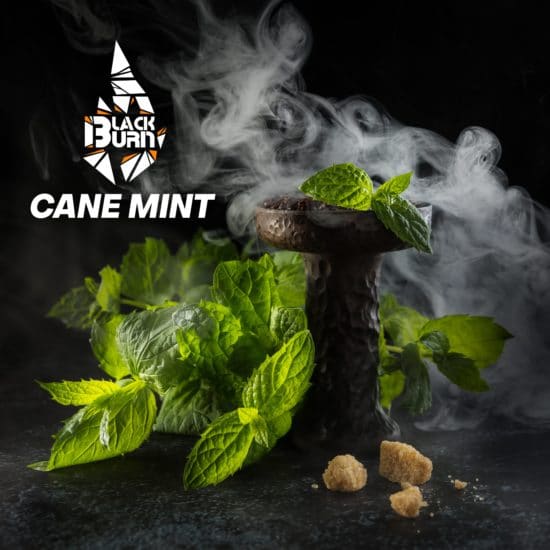 black-burn-cane-mint.jpg