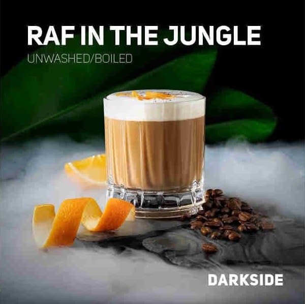 darkside_raf-in-the-jungle