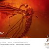 SATYR - MASTIC