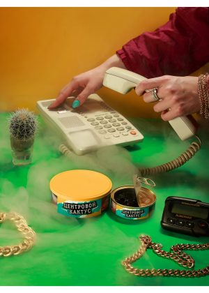 ЦЕНТРОВОЙ КАКТУС