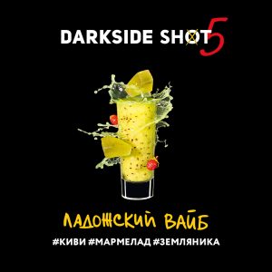 Darkside shot - Ладожский вайб (Киви, Мармелад, Земляника) 30гр.